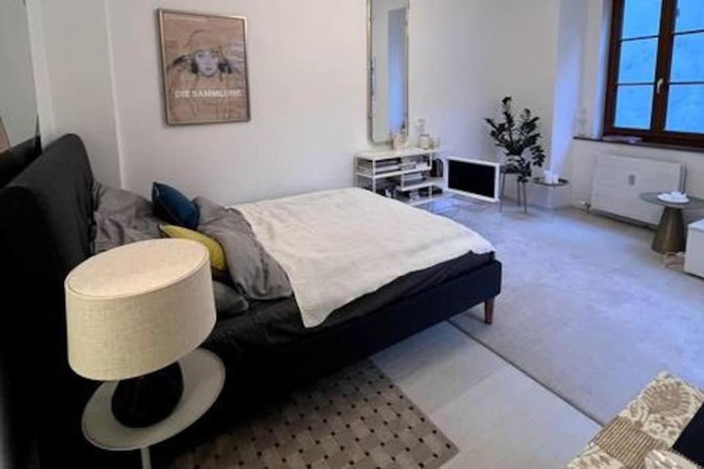 Exclusive Apartement In Historic Center Линц Экстерьер фото